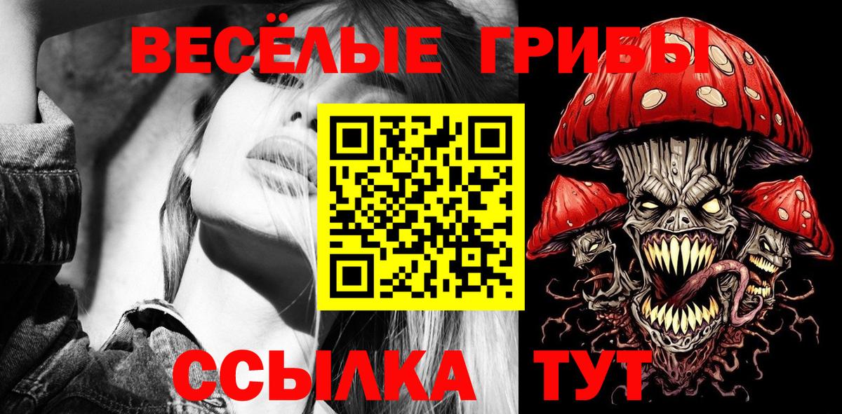 Галлюциногенные грибы прущие грибы Тихвин