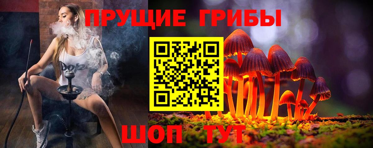 Тихвин  Галлюциногенные грибы Magic Shrooms  Вход с VPN 